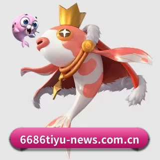 专业赛事服务, 为你而来