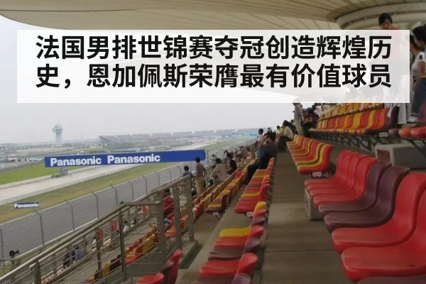 法国男排世锦赛夺冠创造辉煌历史，恩加佩斯荣膺最有价值球员