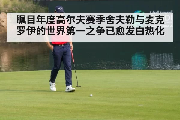 瞩目年度高尔夫赛季舍夫勒与麦克罗伊的世界第一之争已愈发白热化